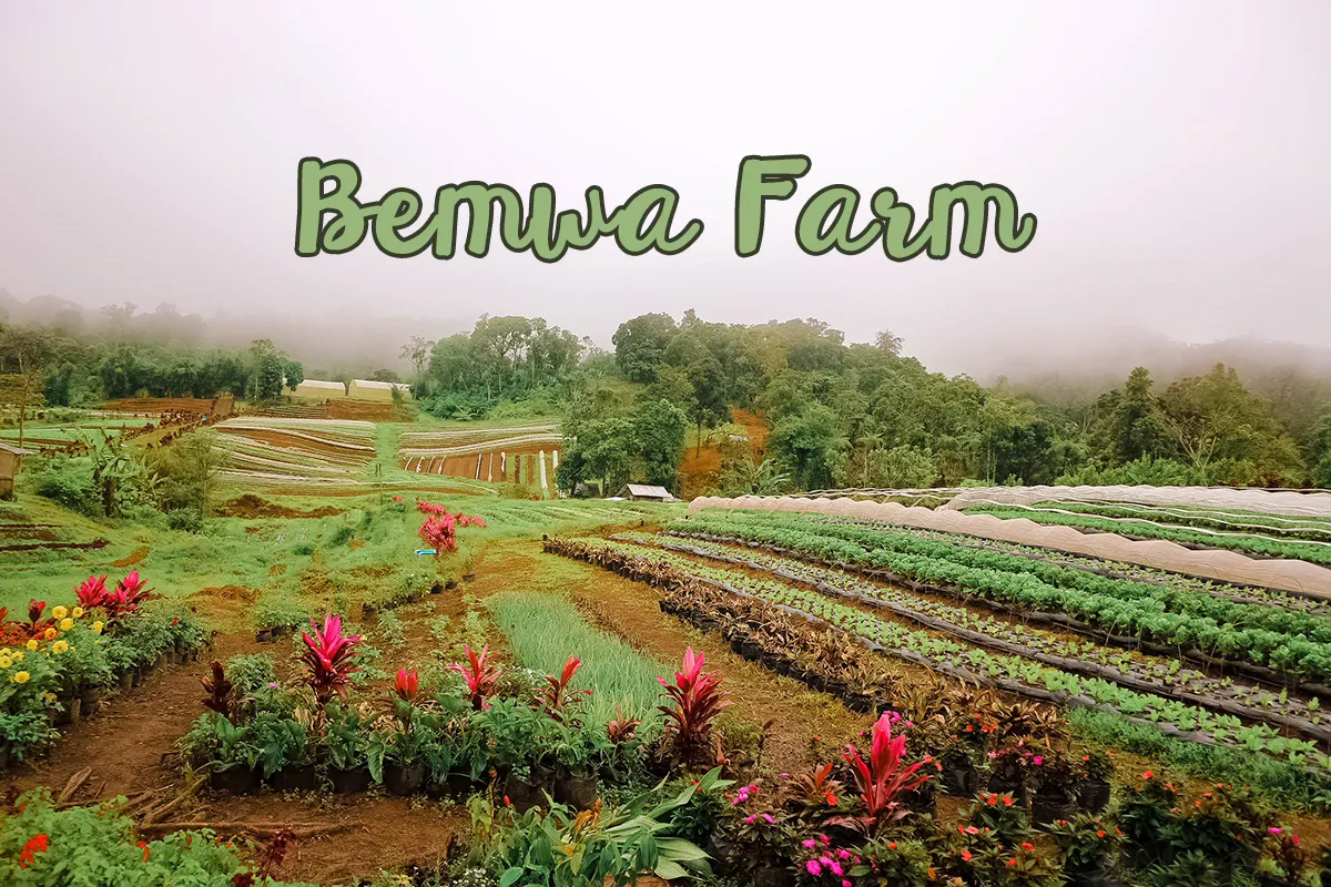 Bemwa Farm