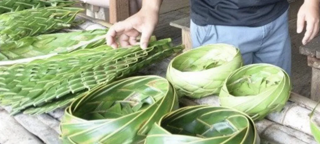 Coconut Weaving