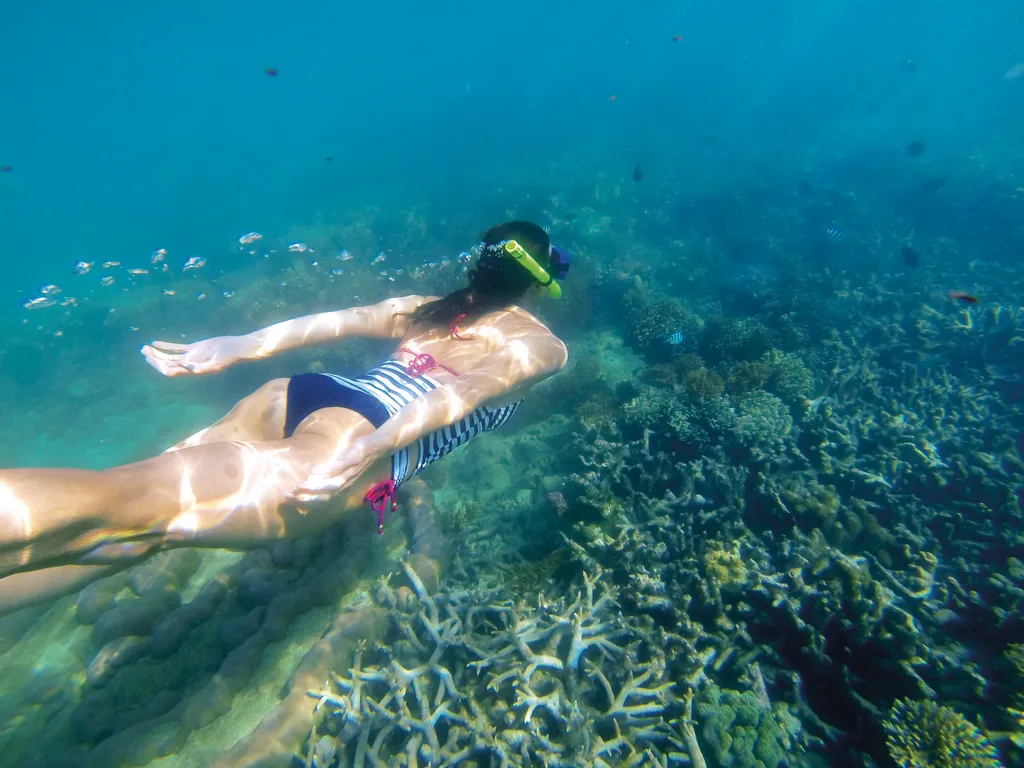 Coral Garden Marine Park Snorkeling