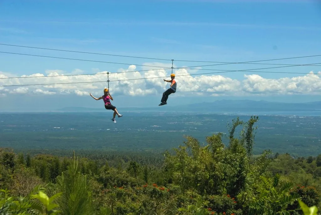 Eden Park Zipline