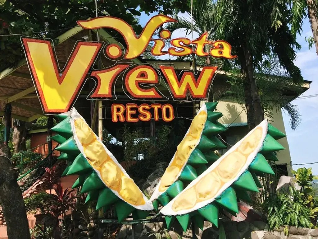 Vista View